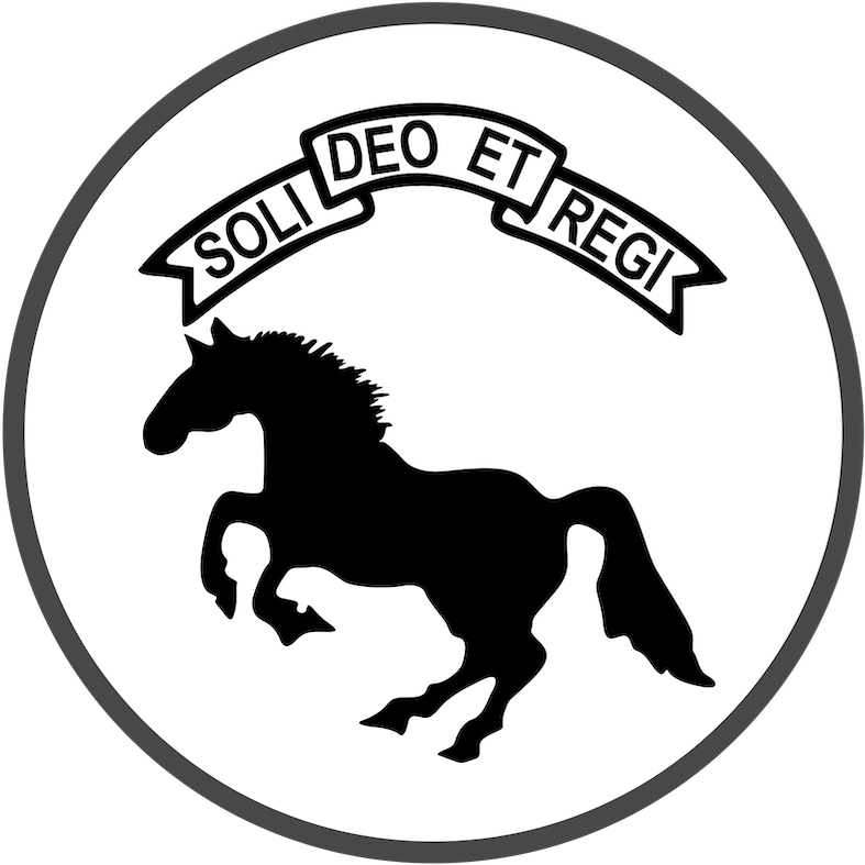 1. bataljon - 2. panserinfanterikompagni 2
